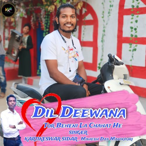 Dil Deewana Tor Beheni La Chahat He