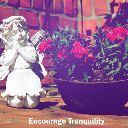 Encourage Tranquility