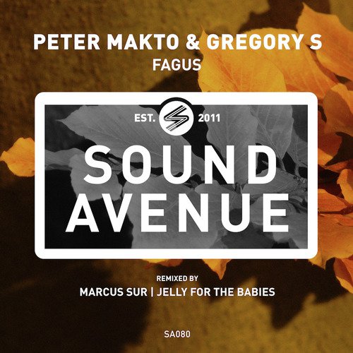 Fagus (Jelly for the Babies Remix) cover art