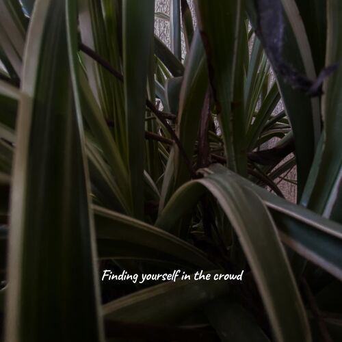 Against all cover art