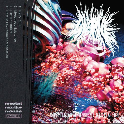 Hostile Environment Meditation cover art