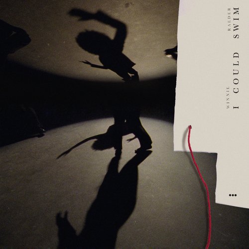 Party cover art