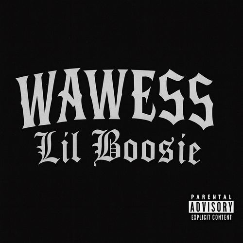 Lil Boosie cover art