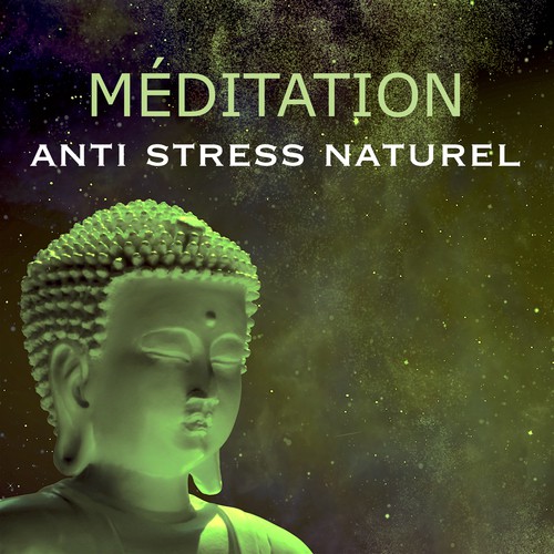 Méditation – Jardin Zen: Musique de la Nature comment Anti Stress Naturel pour Apprendre la Méditation Yoga Reiki et Vivre Mieux