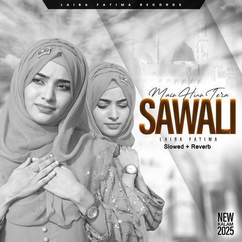 Main Hun Tera Sawali Lofi Version