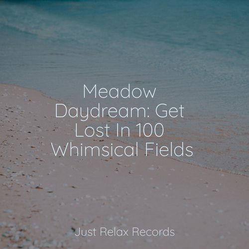 Meadow Daydream: Get Lost In 100 Whimsical Fields