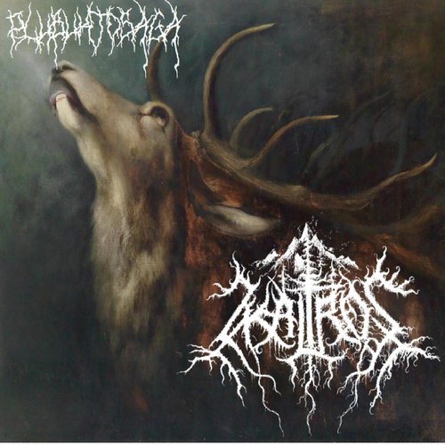 An Afterlife Wandering Endless Logging Roads cover art