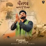 Punjab Aape Uthya artwork