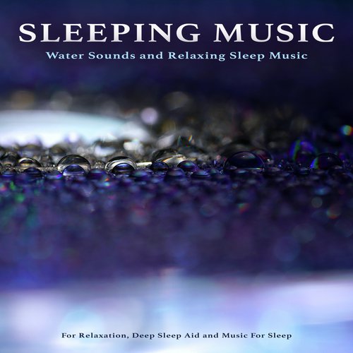 Music For Sleeping Ensemble cover art