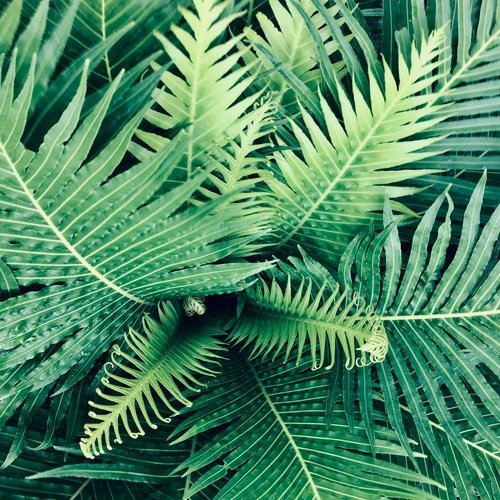 Sleepy Sounds | Meditation Focus & Sleep