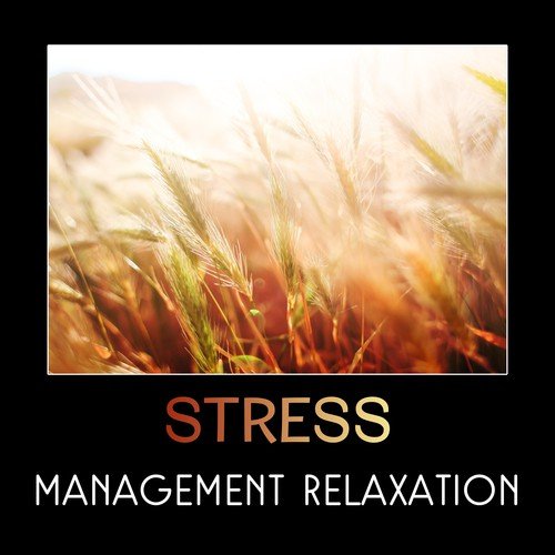 Stress Management Relaxation – Soothing Sounds for Anxiety Treatment, Workplace Stress, After Work Relax, Peaceful New Age Piano Music, Ambient Serenity, Restful Sleep