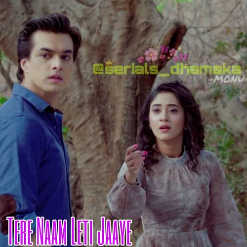 Tere Naam Leti Jaaye_poster_image