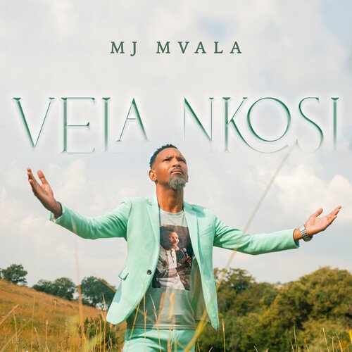 Vela Nkosi_poster_image