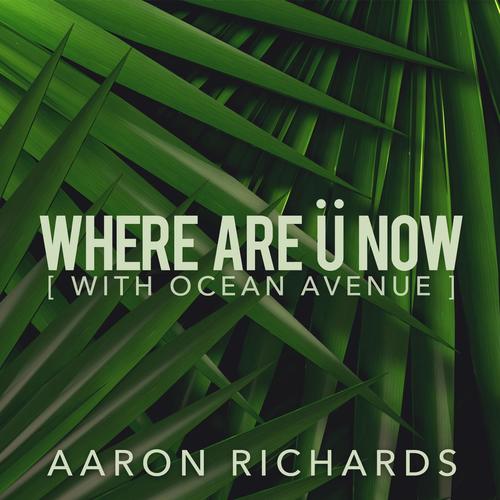 Where Are Ü Now (feat. Ocean Avenue)