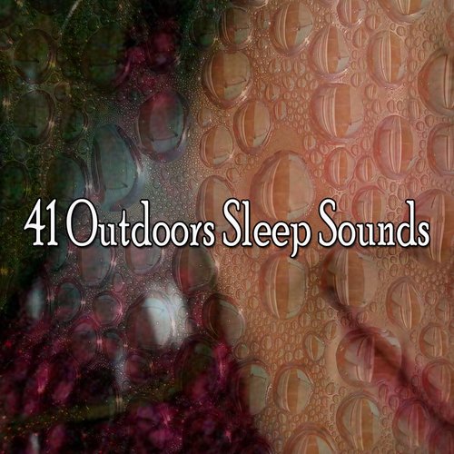 41 Outdoors Sleep Sounds