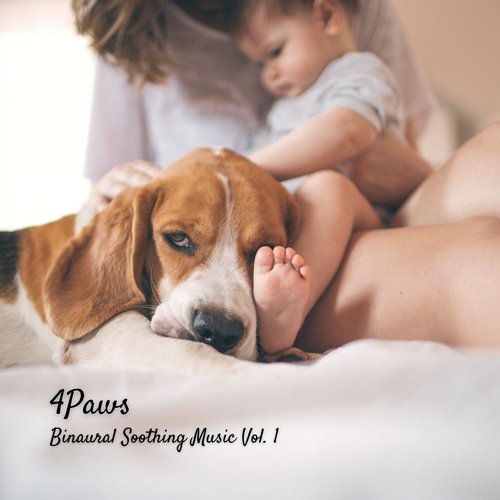 Study Alpha Waves cover art