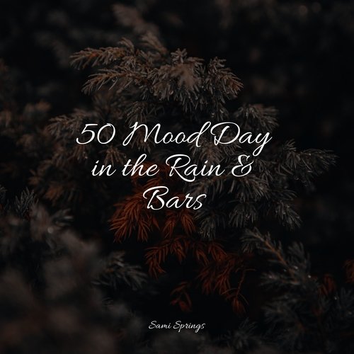 Rain, Storm and Thunder cover art