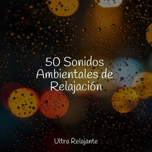 50 Sonidos Ambientales de Relajación