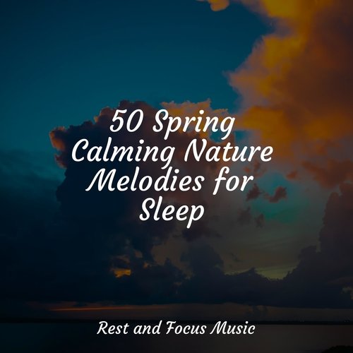 Sleep Soundtrack cover art