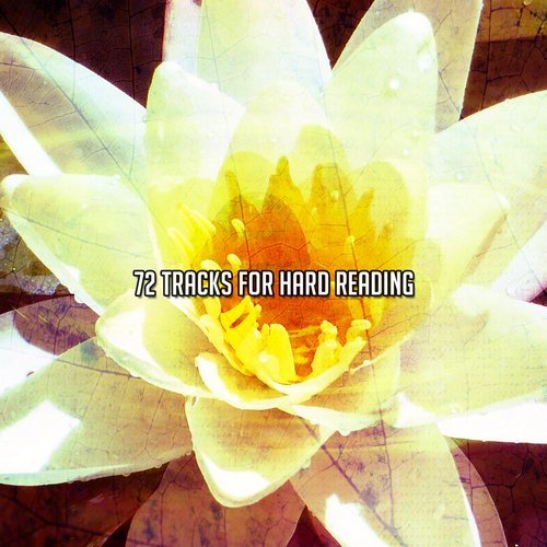 Escape Of The Butterfly cover art