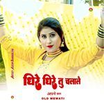 धीरे धीरे तु चलाले अपनो काम ओल्ड मेवाती