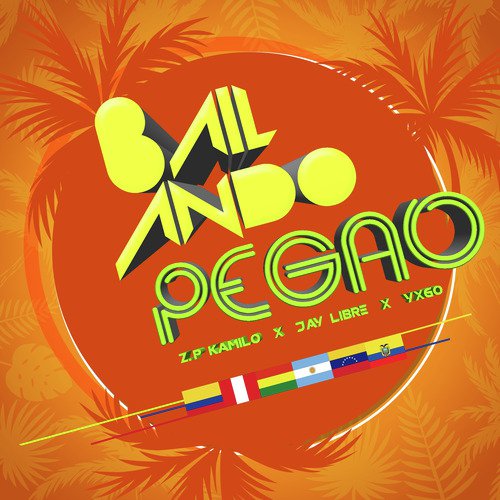 Bailando Pegao_poster_image