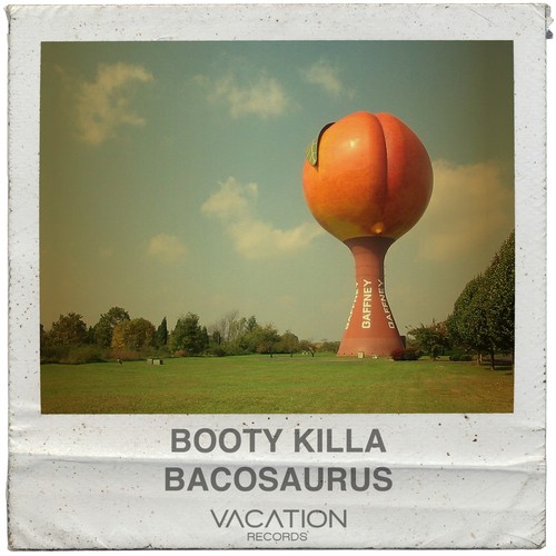 Booty Killa_poster_image