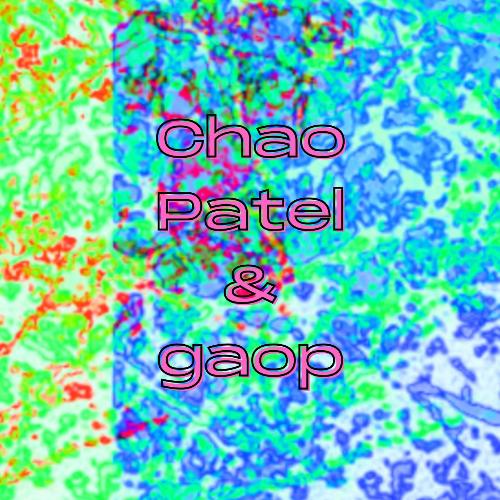 Chao Patel &amp; gaop_poster_image