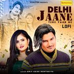 Delhi Jaane Tere Yaar Ne Lofi artwork