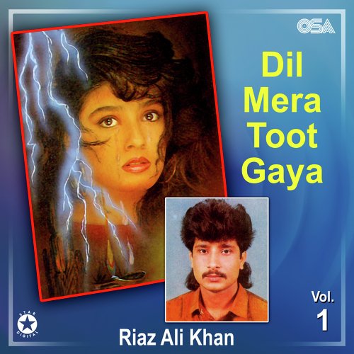 Dil Mera Toot Gaya, Vol. 1_poster_image