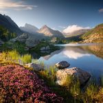 Strings for a Relaxing Day