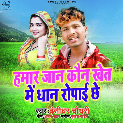 Hamar Jaan Kon Khet Me Dhan Ropai Chhe - Single_poster_image