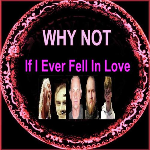 If I Ever Fell in Love (Album Edit)