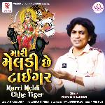 Marri Meldi Chhe Tiger