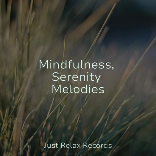 Mindfulness, Serenity Melodies_poster_image