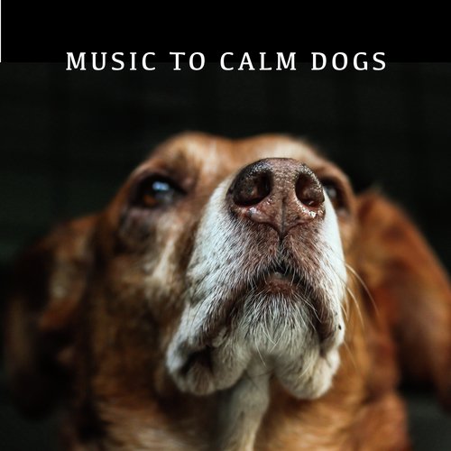 Calming Dog Sounds cover art