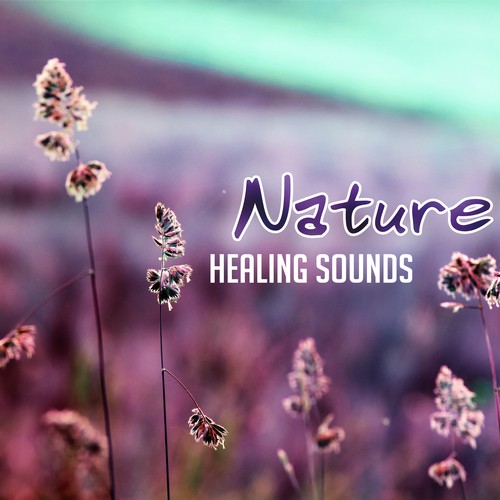 Nature Healing Sounds – Calming New Age Music, Rest with Nature Waves, Healing Therapy, Easy Listening