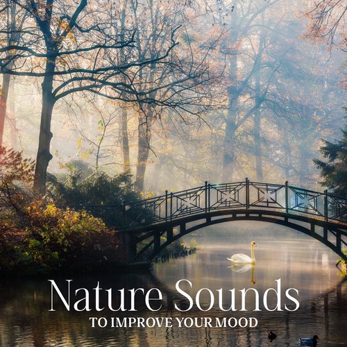 Nature Sounds to Improve Your Mood_poster_image