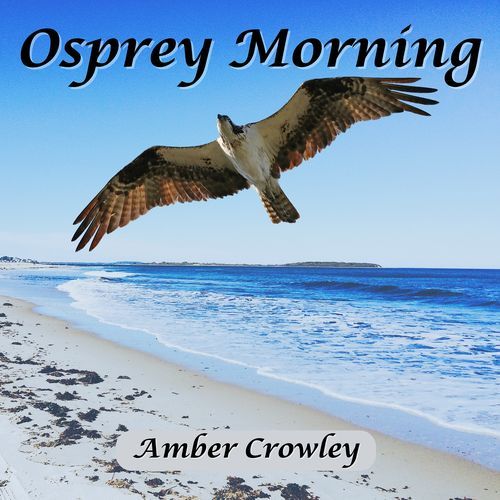 Osprey Morning cover art