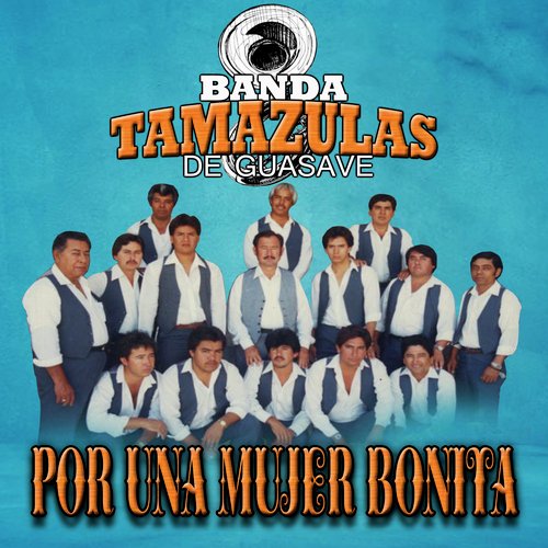 Por una Mujer Bonita (Banda)