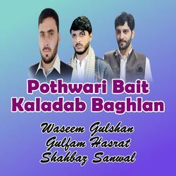 Pothwari Majaz Sher Kaladab Baghlan Program, Pt. 8-QQBdAwRgfVc