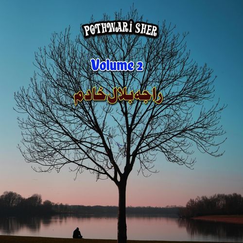 Maa Mot Pothwari Sher