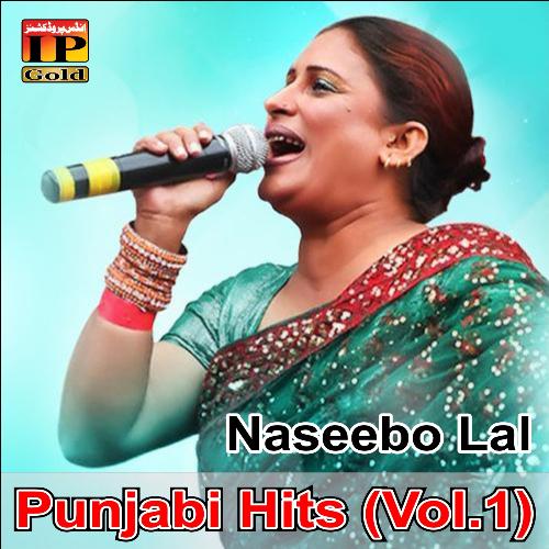 Punjabi Hits (Vol.1)_poster_image