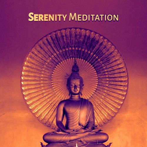 Mindfulness Meditation Academy