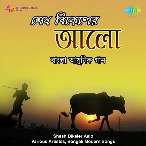 Shesh Bikeler Aalo - Various Artistes