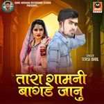 Tara Gaam Ni Bagde Janu