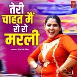 Teri Chahat Main Ro Ro Marli