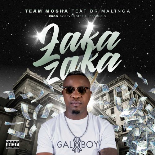 Zaka Zaka (feat. Dr Malinga)_poster_image