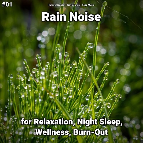 Rain Sounds to Fall Asleep cover art