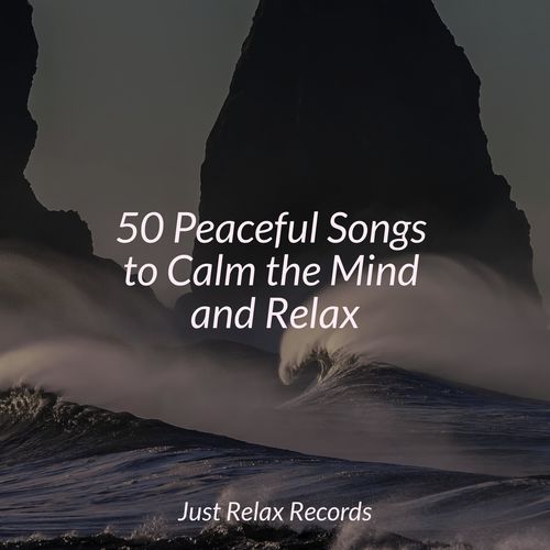 50 Peaceful Songs to Calm the Mind and Relax